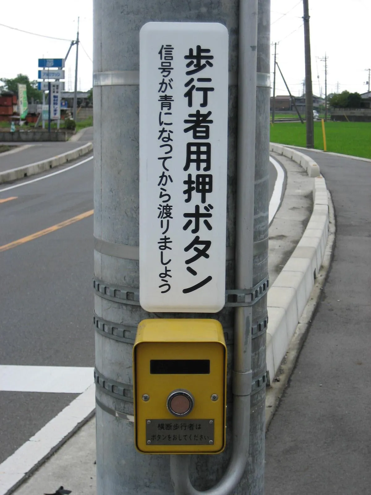 SignalBotan.webp